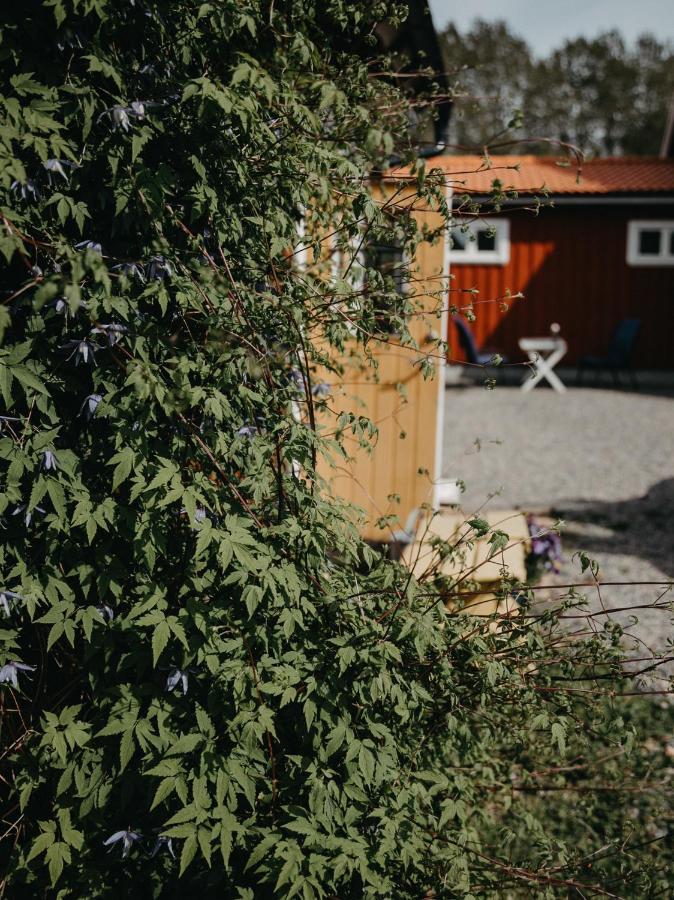 En Lantlig Idyll Med Skogen Precis Utanfoer Doerren! Villa Ullared Ngoại thất bức ảnh